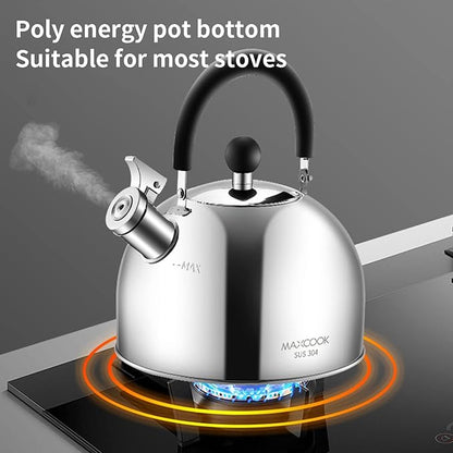 304 Stainless Steel Whistling Tea Kettle 2.1 Quart/2L, Suitable to Boiling Water & Tea on Induction Stove, Gas Stove Top