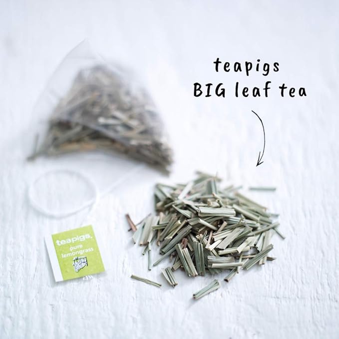 Teapigs Pure Lemongrass Tea Bags Made With Whole Leaves (1 Pack of 15 Tea Bags)