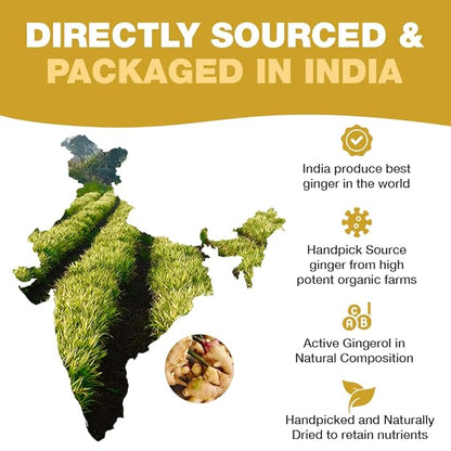 HANDPICK, Organic Ginger Tea Bags (100 Herbal Tea Bags), Authentic Indian Origin, Caffeine Free & 100% Pure Ginger Root |Soothing & Spicy Blend | Round Eco Conscious Teabags