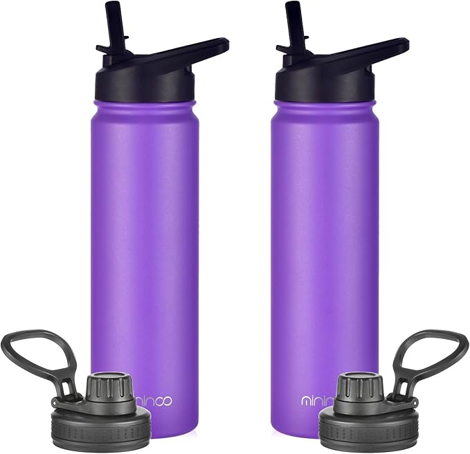 mininoo 24 oz Insulated Water Bottle with Straw Lid, Stainless Steel Double Wall Vacuum, Leak Proof, BPA Free, Keep Cold for 24H & Hot for 12H-2 pack(Purple)