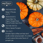 Load image into Gallery viewer, Organic Positively Tea Company, Pumpkin Spice Black Tea, Loose Leaf, 16 Ounce