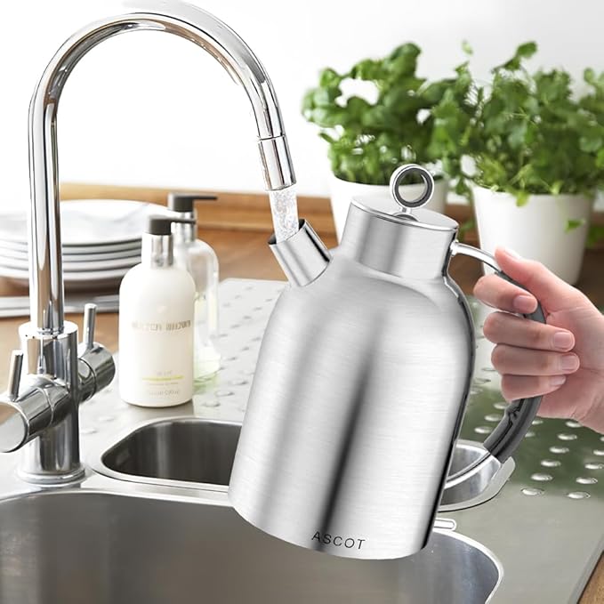 ASCOT Electric Kettle, Electric Tea Kettle Hot Water Kettle Stainless Steel Kettle 1.5L 1500W Tea Heater & Boiling Water, Auto Shut-Off and Boil-Dry Protection (Polished Silver)