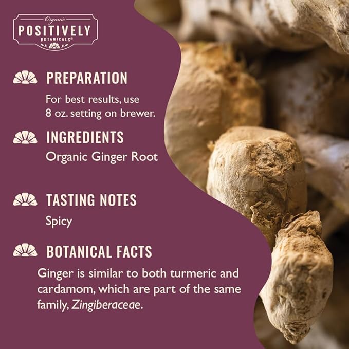 Organic Positively Botanicals Company, Ginger Root, K-Cup Compatible, 24 Pods