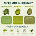 Load image into Gallery viewer, Jade Leaf Matcha Organic Cafe Style Sweetened Matcha Latte Green Tea Powder, Premium Barista Crafted Mix - Authentically Japanese, 100 Servings (2.2 Pound Bulk Tub)