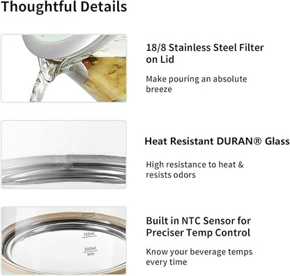 BUYDEEM Health Pot K2763 Lite, Glass Electric Kettle for Tea & Coffee, Hot Water Boiler and Wamer with Stew Pot, Temperature Control, Green, 1.5L