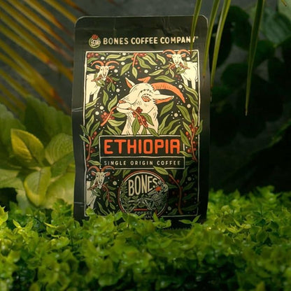 Bones Coffee Company Ethiopia Single-Origin, Citrus, Floral and Berries Notes, Whole Coffee Beans, Low Acid Medium Roast Arabica Beans Flavored Coffee, 12 oz Whole Bean