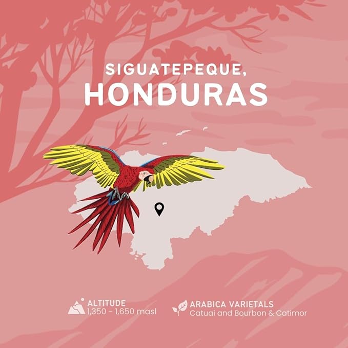 Canopy Point Coffee Honduras Dark Roast | Espresso Ground Coffee for smooth Espresso & Moka Pot| Arabica specialty small batch roasted to order with strong chocolate notes & aroma