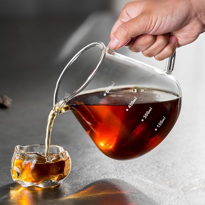 Pour Over Coffee Maker Set – Drip Coffee Pot with bamboo Handle, Glass Coffee Dripper & 100 Filters, 20oz/600ml Capacity