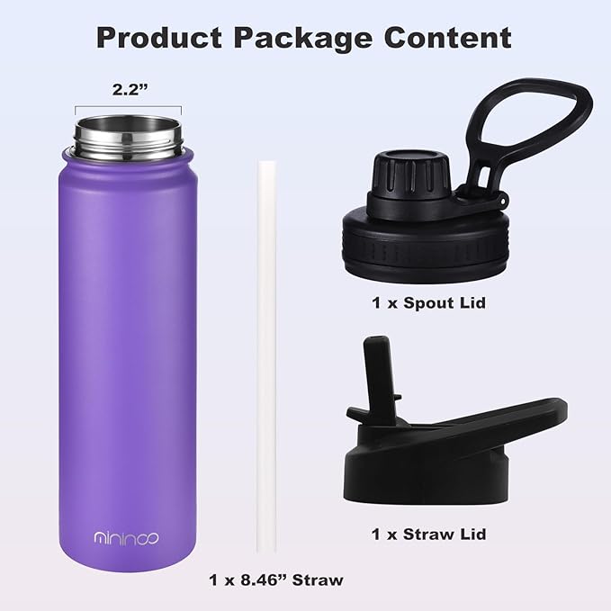 mininoo 24 oz Insulated Water Bottle with Straw Lid, Stainless Steel Double Wall Vacuum, Leak Proof, BPA Free, Keep Cold for 24H & Hot for 12H-2 pack(Purple)