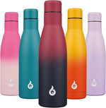 Load image into Gallery viewer, BJPKPK Insulated Water Bottle 17oz Stainless Steel Water Bottles Diashwasher Safe Reusable Metal Thermal Keep Cold and Hot,Charming Black Red
