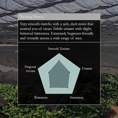 Naoki Matcha Organic Ceremonial First Spring Blend – Authentic Japanese First Harvest Ceremonial Grade Matcha Green Tea Powder from Kagoshima, Japan (50g / 1.75oz)