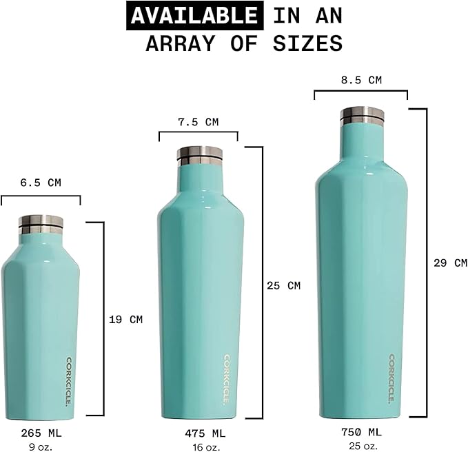 Corkcicle Classic Canteen Insulated Water Bottle - Stainless Steel Reusable Tumbler - Triple Insulated - Keeps Drinks Cold 25 Hours or Hot 12 Hours - Cupholder Friendly - Gloss White - 16 oz