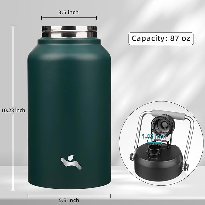 Jug with Handle,87 oz Insulated Water Bottle with Carrying Pouch, Double Wall Vacuum Stainless Steel Metal Bottle,Dark Green