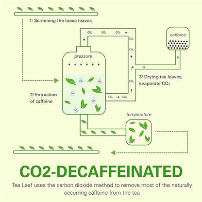 WT WEETEE Lemon Ginger Decaf Green Tea Bags 50 Counts, Made of Decaffeinated Green Tea, Ginger & Natural Lemon Flavor, Clean & Fresh