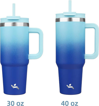 30 oz Tumbler with Handle and 2 Straws,2 in 1 Lid Insulated Water Bottle Stainless Steel Travel Coffee Mug,Sky