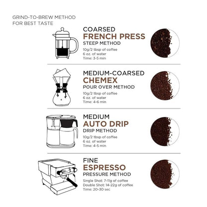 AmazonFresh Direct Trade Nicaragua Whole Bean Coffee, Medium Roast, 12 Ounce (Pack of 2)