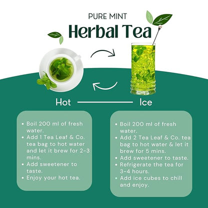 Tealeaf & Co. Pure Mint Herbal Tea Bags Blended with Fresh Herbs - Spearmint & Peppermint Tea - Contains Low Caffeine - Gluten Free - 100 Teabags (7.055oz/200gm)