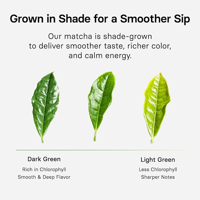 OSULLOC Volcanic Isle Matcha Powder, Ceremonial Grade Korean Matcha for lattes, Green tea powder from Jeju island (1.41oz, 40g)