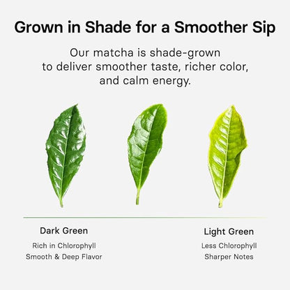 OSULLOC Volcanic Isle Matcha Powder, Ceremonial Grade Korean Matcha for lattes, Green tea powder from Jeju island (1.41oz, 40g)