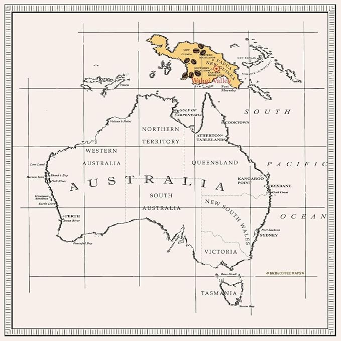 Bacha Coffee | Sigri Jewel Papua New Guinea Single Origin, 100% Arabica Specialty Coffee Beans, Medium Dark Roast, x12 Individually Wrapped Single Serve Filter Bags