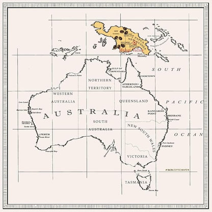 Bacha Coffee | Sigri Jewel Papua New Guinea Single Origin, 100% Arabica Specialty Coffee Beans, Medium Dark Roast, x12 Individually Wrapped Single Serve Filter Bags