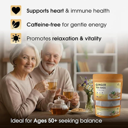 TeaDreamTea Ginger Tea Bags - 100 Bleach-Free Tea Bags | Caffeine Free, Antioxidant, Calms Upset Stomach - Strengthen Immune System - Herbal Ginger Tea
