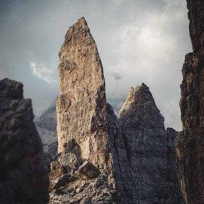 Bristot Bio Organic Italian Espresso Beans | Italian Whole Beans | Medium Roast | 1.1lb/500g (Pack of 2)