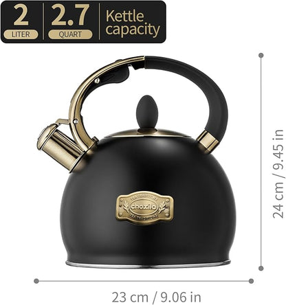 Stovetop Tea Kettle - 2.64 Quart Whistling Tea Pot for Stove Top, Stainless Steel Tea Kettle for All Stovetops Including Induction, Gas, Electric | Ergonomic Pouring Design