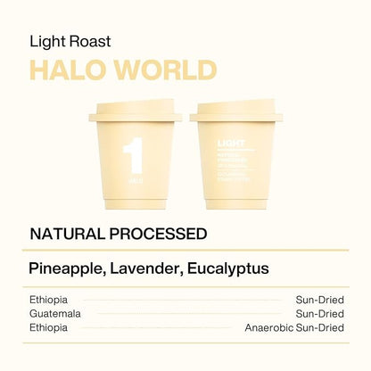 SATURNBIRD Coffee Instant Cold Brew, Light Roast, Bright & Fruity Blend of 100% Specialty Arabica, Enjoy Hot or Cold, Freeze Dried Iced Coffee, 24 Single Servings for Home, Travel, Office (NO.1)