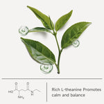 Load image into Gallery viewer, Chaism Ceremonial Grade Matcha Green Tea Powder - Single Origin Premium First Harvest USDA Organic, 1.06oz Tin