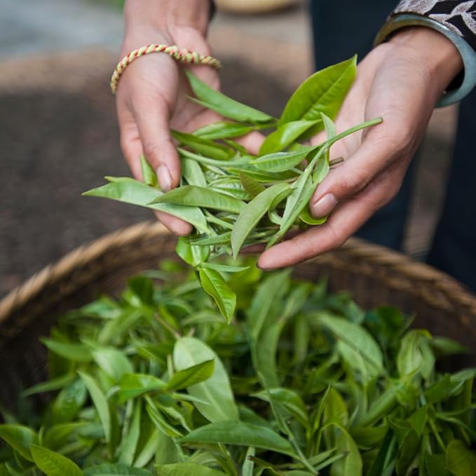 Palais des Thés Black Tea - Holiday Collection Organic N°25 Blend with Citrus & Spices - Premium Tea Bags, Serves 20 Cups