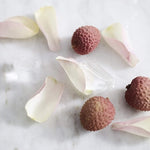 Load image into Gallery viewer, teapigs Lychee &amp; Rose Cold Brew Made With Whole Leaves (6 Packs of 10 Tea Bags)