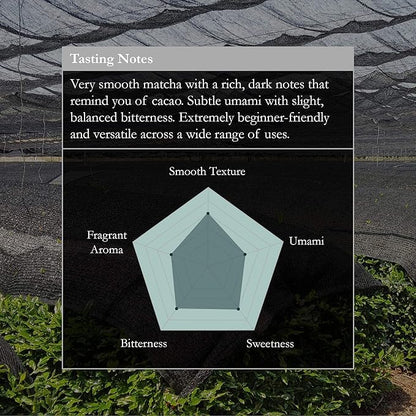 Naoki Matcha Organic Ceremonial First Spring Blend – Authentic Japanese First Harvest Ceremonial Grade Matcha Green Tea Powder from Kagoshima, Japan (100g / 3.5oz)