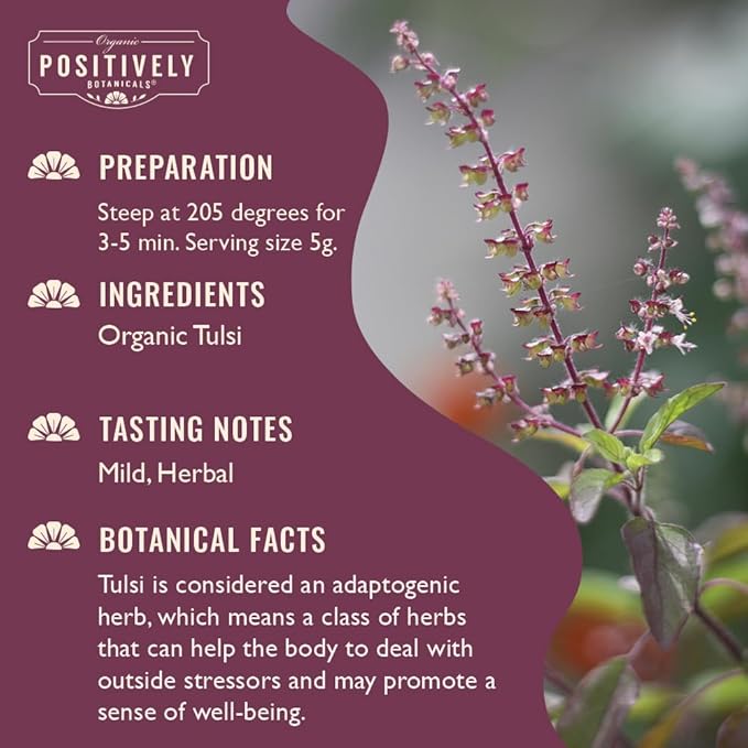 Organic Positively Botanicals Company, Tulsi, K-Cup Compatible, 24 Pods