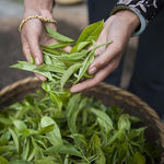 Load image into Gallery viewer, Palais des Thés Herbal Tea - Organic Rooibos of Lords Caffeine-Free Earl Grey Blend with Bergamot - Premium Tea Bags - Serves 20 Cups