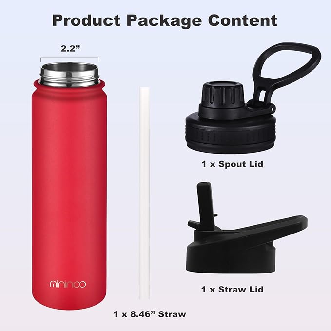mininoo 24 oz Insulated Water Bottle with Straw Lid, Stainless Steel Double Wall Vacuum, Leak Proof, BPA Free, Keep Cold for 24H & Hot for 12H(Red)