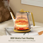 Load image into Gallery viewer, Hazel Quinn Retro X Eduardo Recife Collaboration Electric Kettle- 1 Litres / 34 Ounces Retro Small Tea Kettle, Double Wall, 304 Stainless Steel, 800W Fast Boiling, Cordless, BPA-Free, Auto Shut-Off