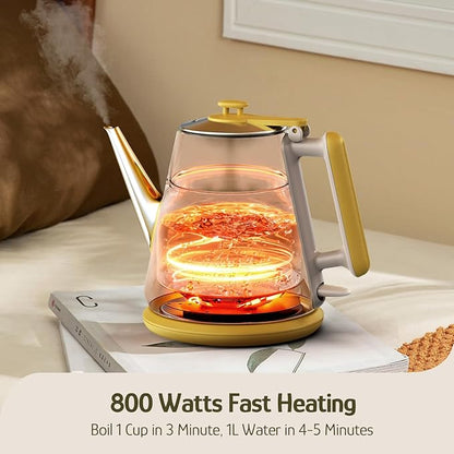 Hazel Quinn Retro X Eduardo Recife Collaboration Electric Kettle- 1 Litres / 34 Ounces Retro Small Tea Kettle, Double Wall, 304 Stainless Steel, 800W Fast Boiling, Cordless, BPA-Free, Auto Shut-Off