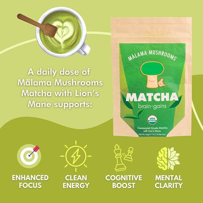 Malama Ceremonial Grade Matcha Powder - Premium Japanese Matcha Green Tea Powder with Organic Lion’s Mane Extract - Organic, Gluten-Free, Vegan, & Unsweetened (2.1 oz) for Energy & Focus