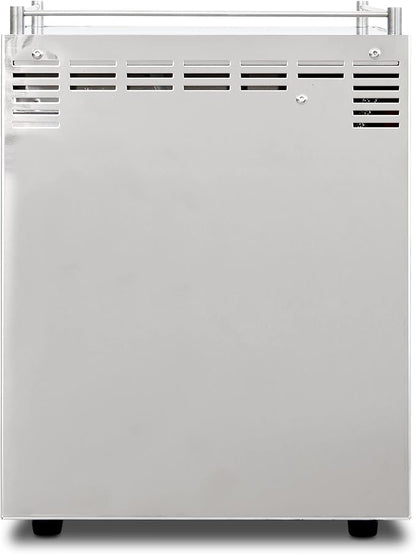 Ascaso Steel DUO Espresso Machine | PID | Programmable | Volumetric Controls | Dual Thermoblock | 120V | (Stainless Steel)