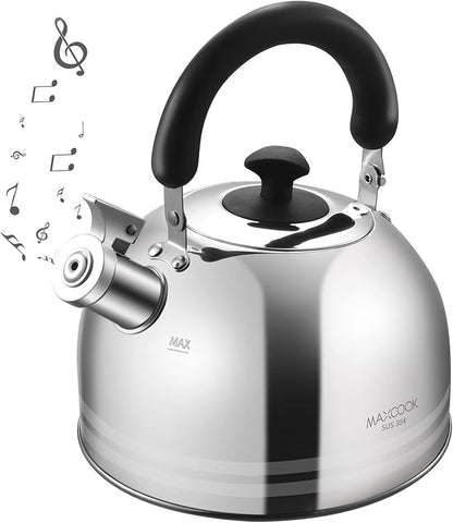 Whistling Tea Kettle for Stovetop, 5L Stainless Steel Tea pot Kettles,Striped frosted water pot, Large kettle teapot with Cool Touch Ergonomic Handle(Mirror Polish)