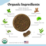 Load image into Gallery viewer, Brain Fog Tea for Herbal Focus &amp; Memory, AIP AutoimmuniTea Protocol Diet Compliant Foods, Whole 30, Paleo Friendly - Nootropics Support Herbs Gingko Biloba, Peppermint, Gotu Kola