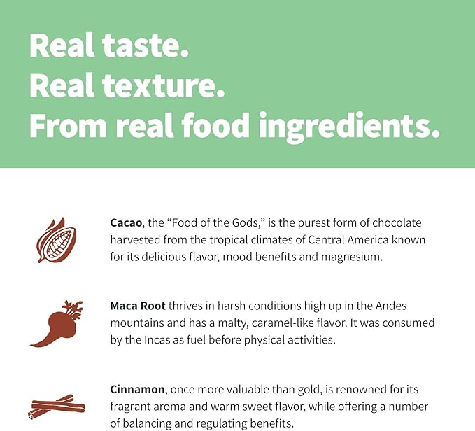 Sprout Living Epic Protein, Plant Based Protein & Superfoods Powder, Chocolate Maca Powder | 20 Grams Organic Protein Powder, Vegan, Non Dairy, Non-GMO, Gluten Free, Low Sugar (1 Pound, 12 Servings)