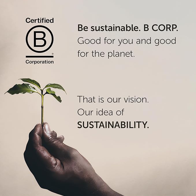 illy Arabica Selections Ethiopia Whole Bean Coffee, 100% Arabica Bean Single Origin Coffee, Light Roast with Notes of Jasmine, All-Natural, No Preservatives, 8.8 Ounce Can (Pack of 1)