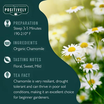 Organic Positively Tea Company, Chamomile Herbal Tea Bags, 100 Count, Eco-Friendly Tea Bags, Non-GMO