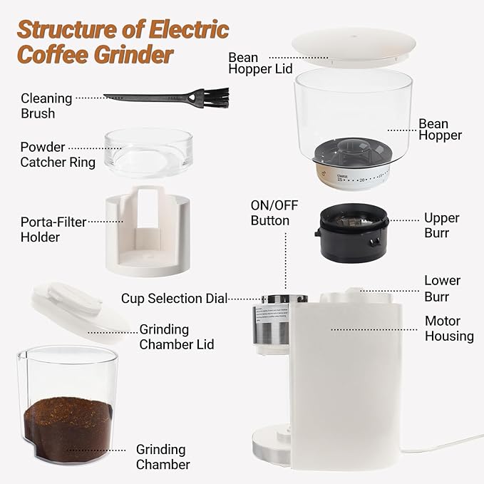 Electric Burr Coffee Grinder with 25 Grind Setting for 2-12 Cup Adjustable Stainless Steel Dosing Bean Mill Home Automatic Conical Freshly Ground Espresso Grinder with Cleaning Brush White