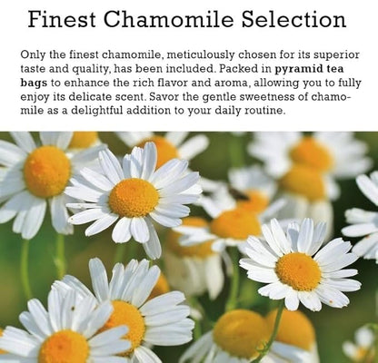Damtuh Chamomile Tea – 100% Pure Chamomile, Caffeine-Free Herbal Tea, 10 Tea Bags (1g each)