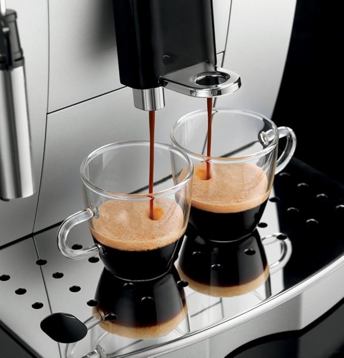 De'Longhi ECAM22110SB Magnifica XS Fully Automatic Espresso and Cappuccino Machine with Manual Cappuccino System, Stainless Steel, Silver, 13.8"