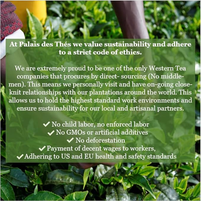 Palais des Thés Green Tea - Holiday Collection Organic N°25 Blend with Citrus & Spices - Premium Tea Bags, Serves 20 Cups