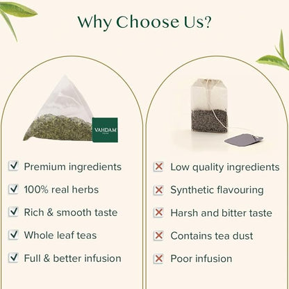 VAHDAM, Mint Green Tea Bags (100 Count) 100% Pure Leaf Tea, High Grown, Low Caffeine, Non GMO, Gluten Free | Plant-Based Pyramid Tea Bags | Direct from Source